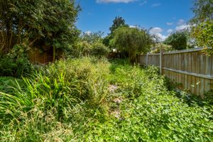 REAR GARDEN- click for photo gallery